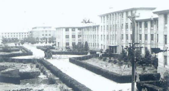 2024年澳门原料网16888