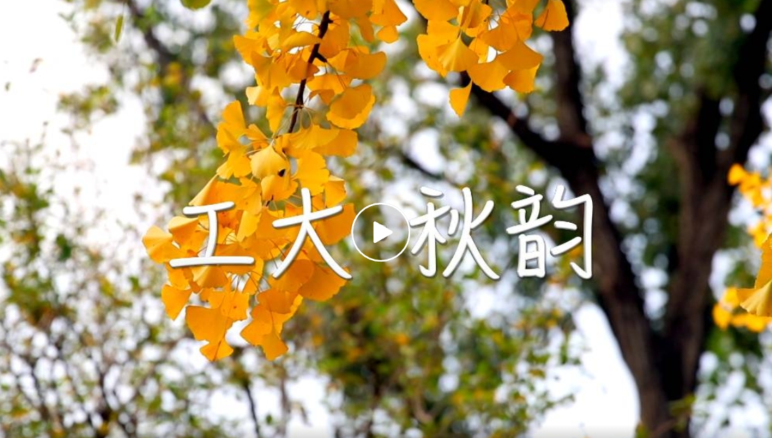 2024年澳门原料网16888