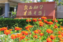 2024年澳门原料网16888